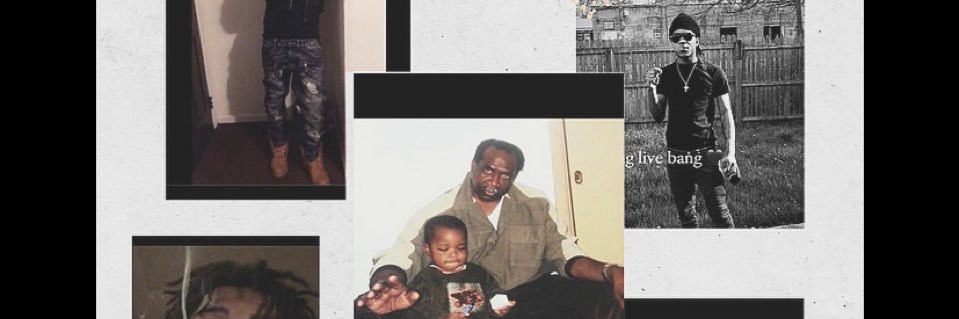 quailioo's profile banner image