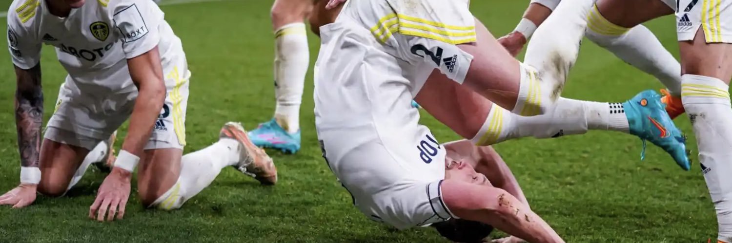 Sven W banner