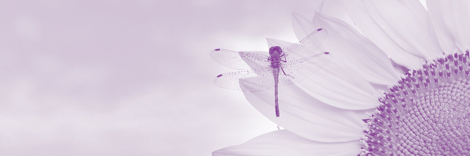 pearsonchange's profile banner image