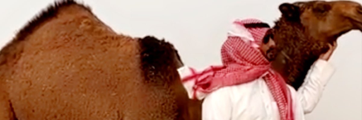 مانع عبيد banner