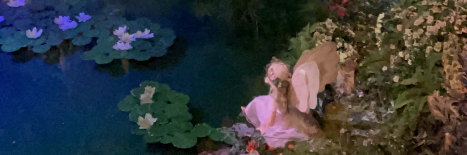clmfau's profile banner image