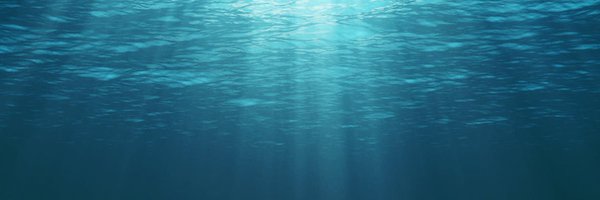 ClimateBird30 Profile Banner