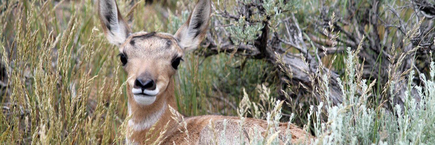 BLMWyoming's profile banner image