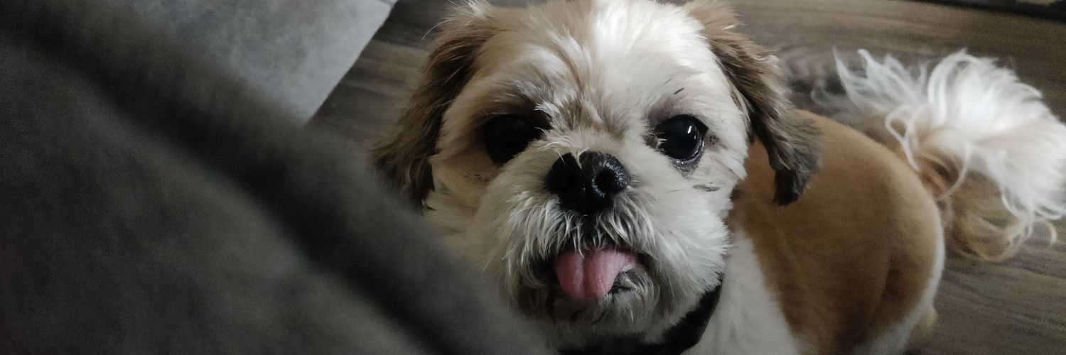 tczippy's profile banner image