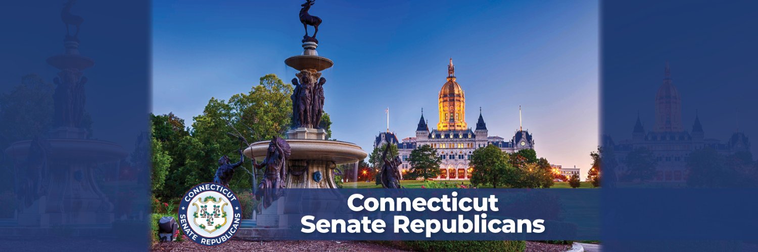 CT Senate Republicans's banner