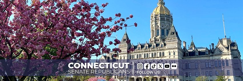 CT Senate Republicans banner
