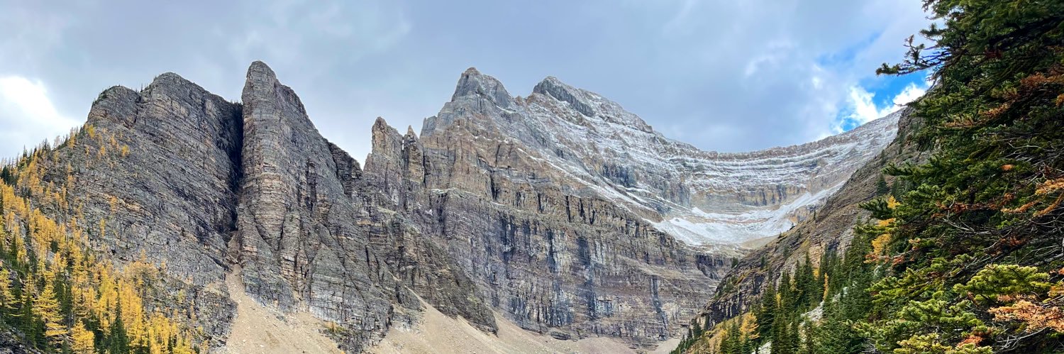 ReneeWillmon's profile banner image