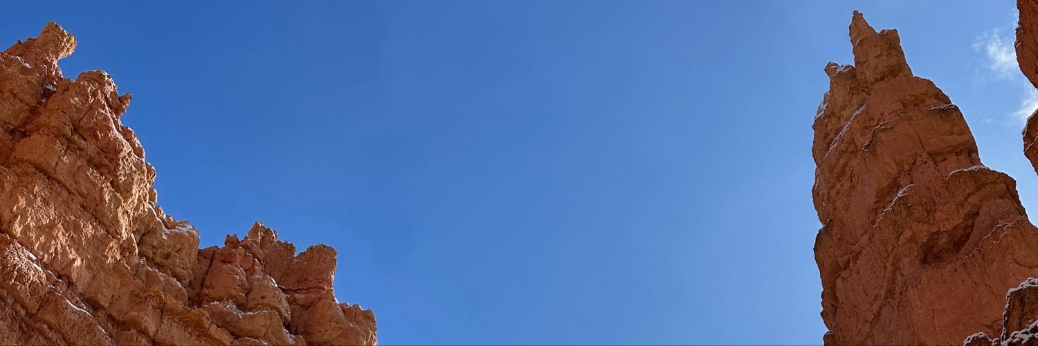 Apolline_dpt's profile banner image