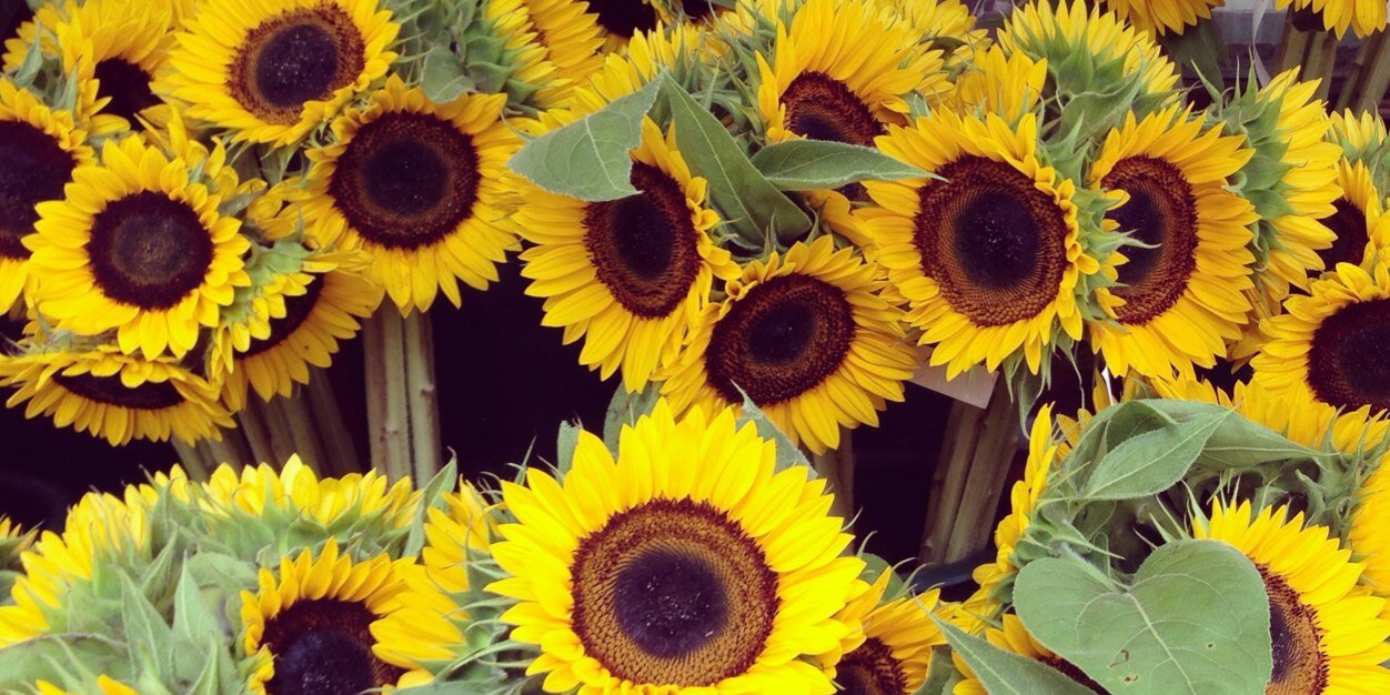 Glowmy311's profile banner image