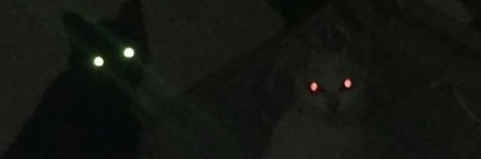 m_aia222's profile banner image