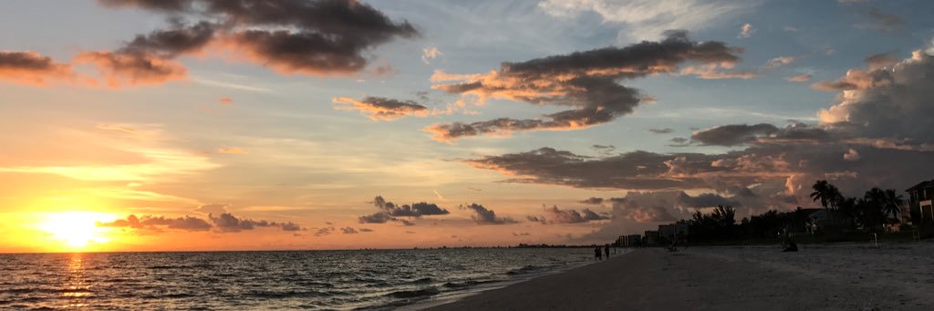 taylor_goch's profile banner image