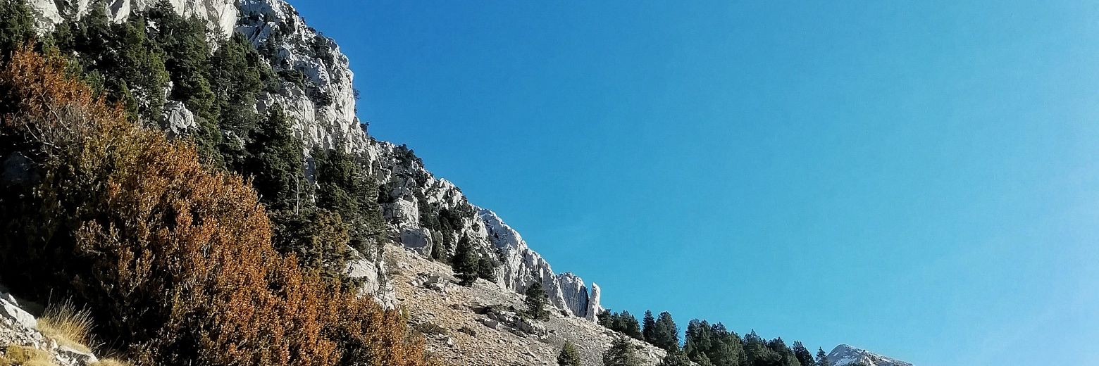 sintiburonsin's profile banner image