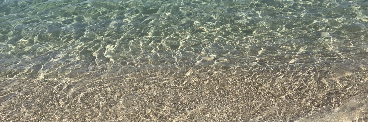 faustinepitau's profile banner image