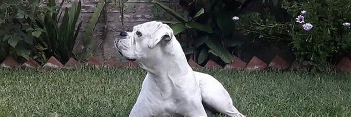 sol⭐️⭐️⭐️ banner