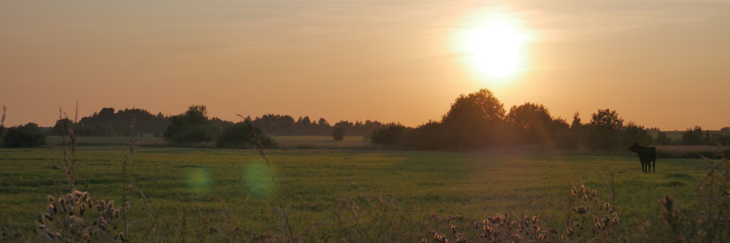 Дед ты хто banner