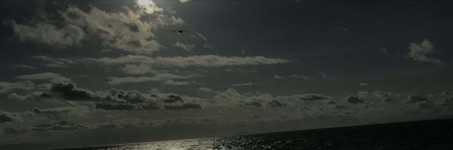 masaa0831's profile banner image