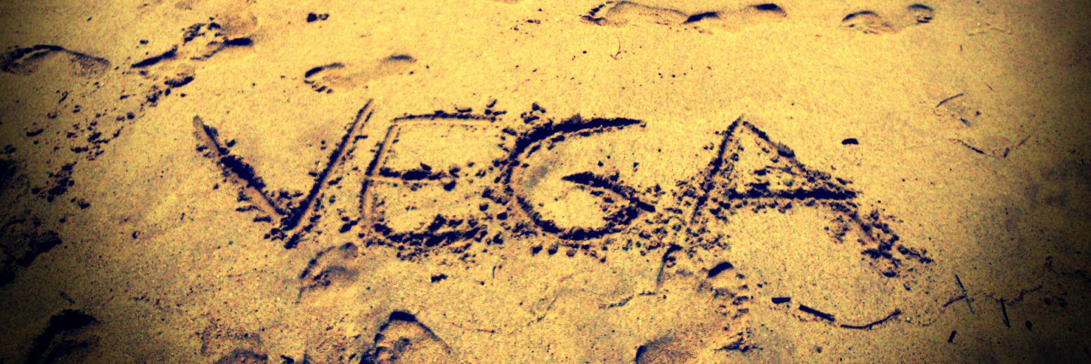 Carolina Gimeno banner