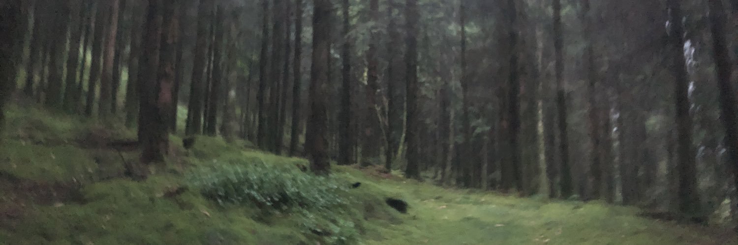 Cis Deman banner