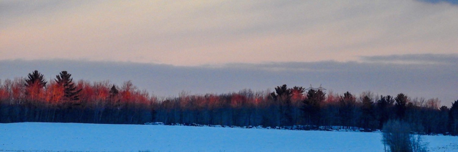ChristianeOuime's profile banner image