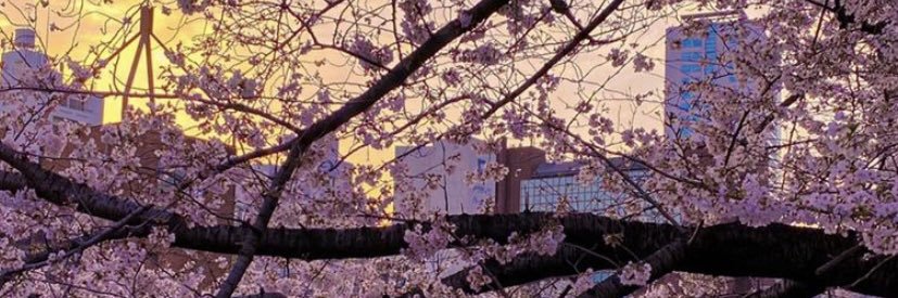 CutieKAT540's profile banner image