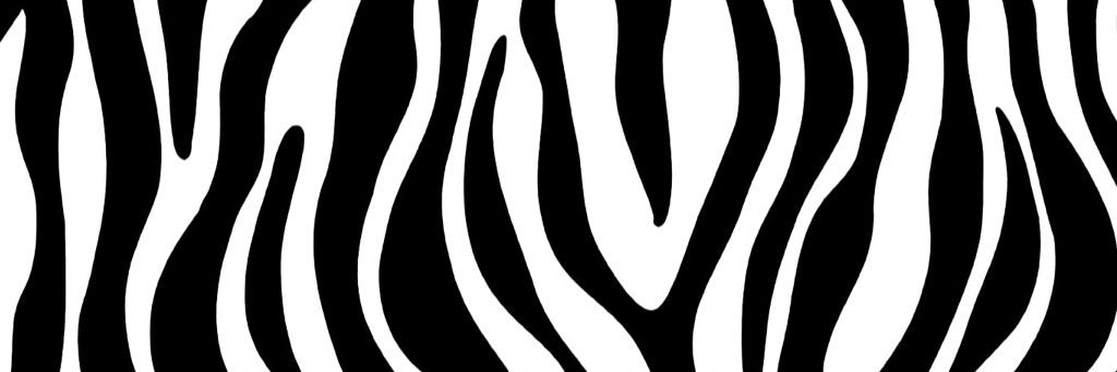 ameliahwalkerr's profile banner image