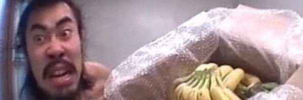 Nasubi Brain 𓅃 banner