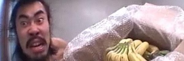 PromThesis Profile Banner