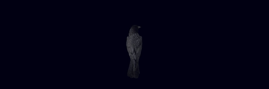 mostaoffic__'s profile banner image