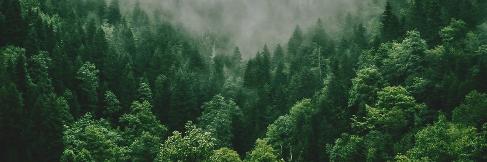 gabe8921's profile banner image