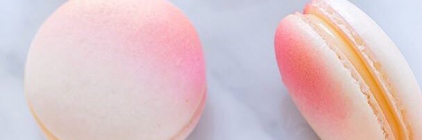 InesWillems's profile banner image