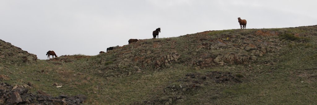Land Systems Group banner