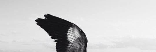 FkNavarro's profile banner image