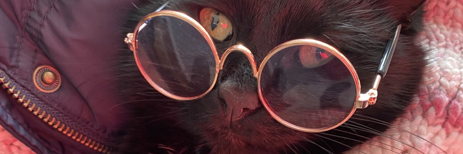 Pikacheekz's profile banner image