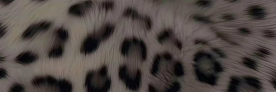 exoticniah's profile banner image