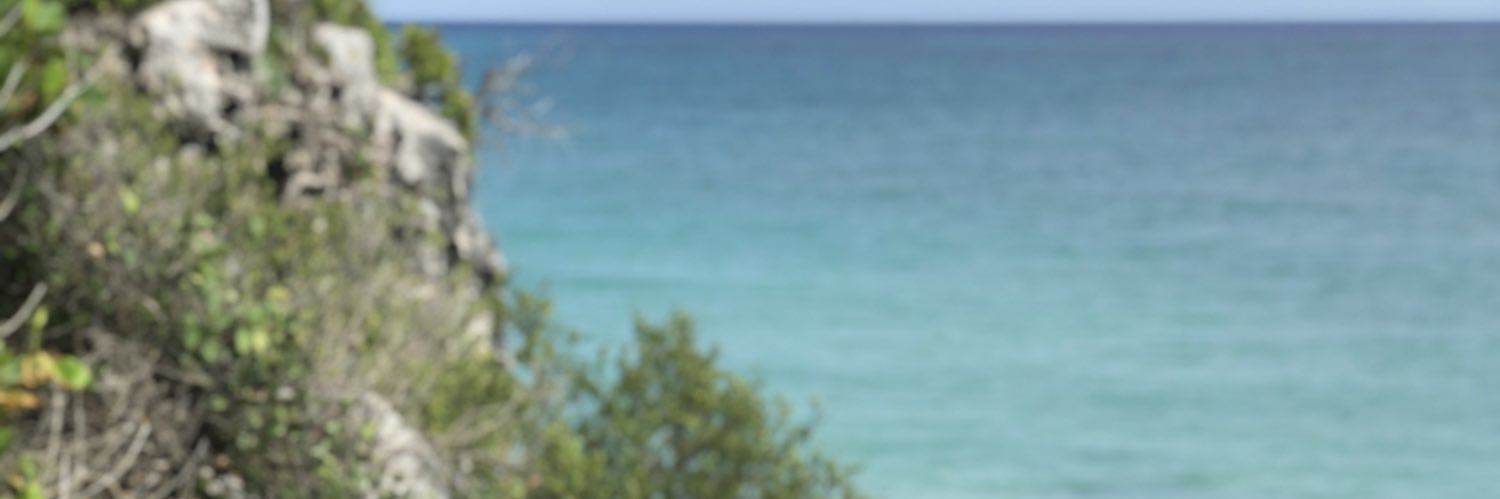 ericgofer's profile banner image