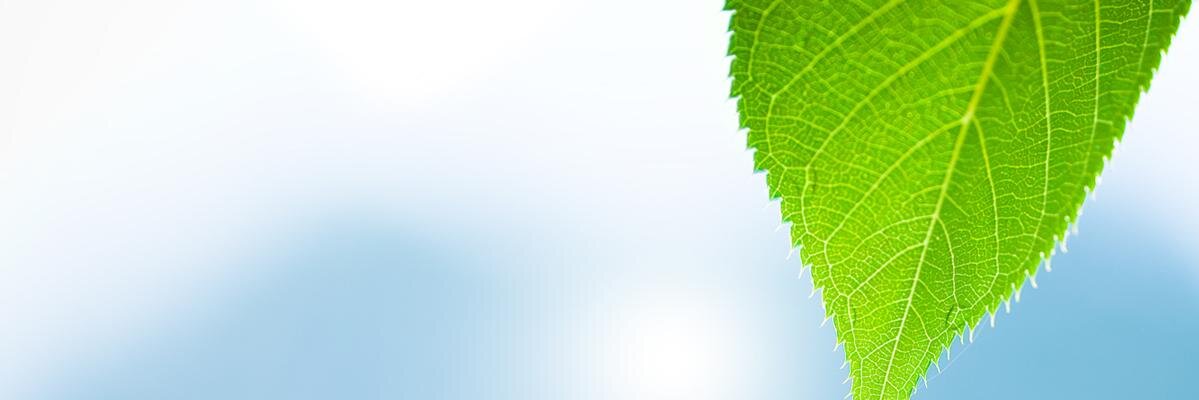 erolbeyaz's profile banner image