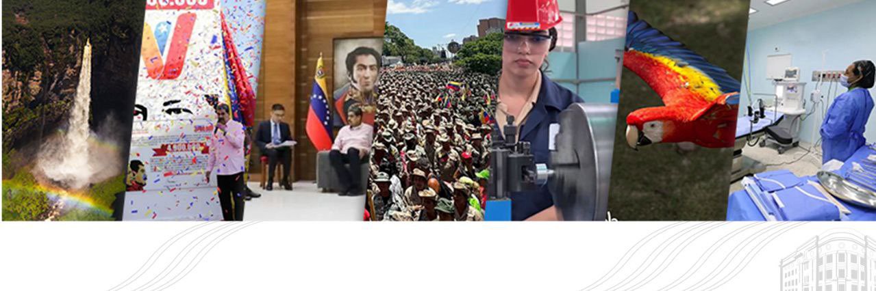 Vicepresidencia Vzla banner