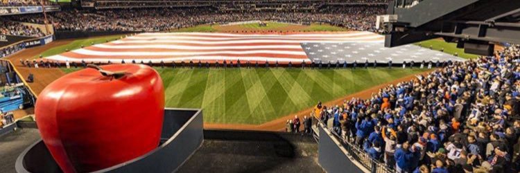 MetFanatics's profile banner image