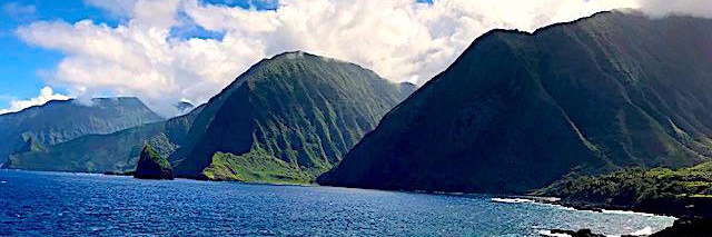 Kirby Michael Wright banner