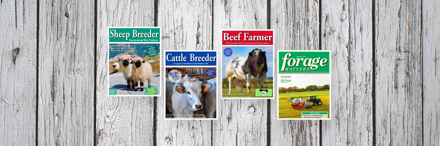 Shepherd Publishing (@shepherdpubs) / Posts / X
