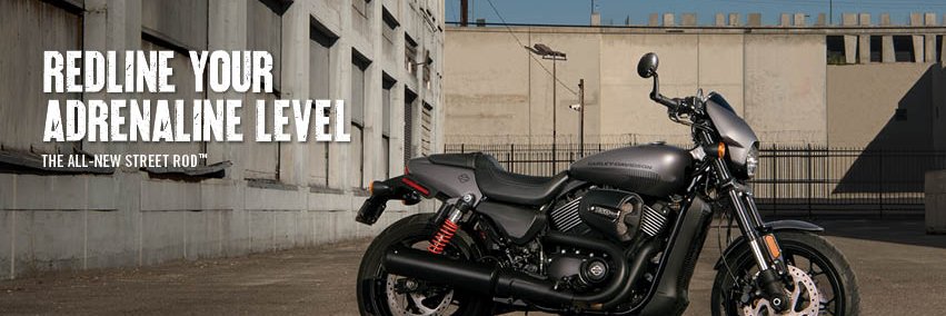 RuggedRockHD's profile banner image