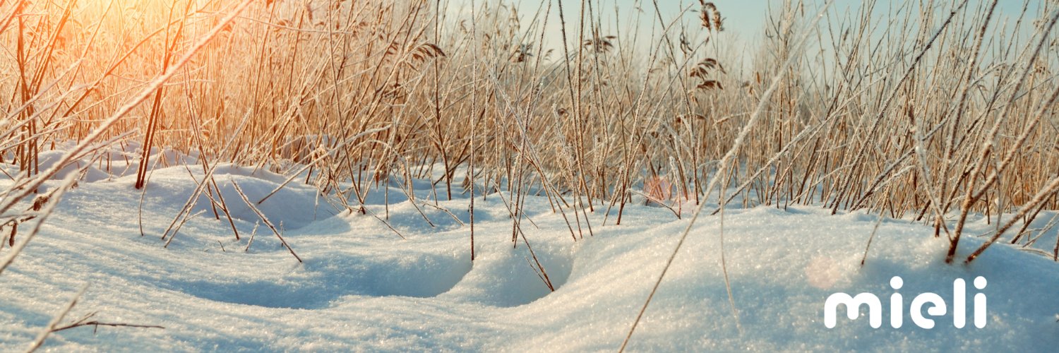 JenniTolvanen's profile banner image