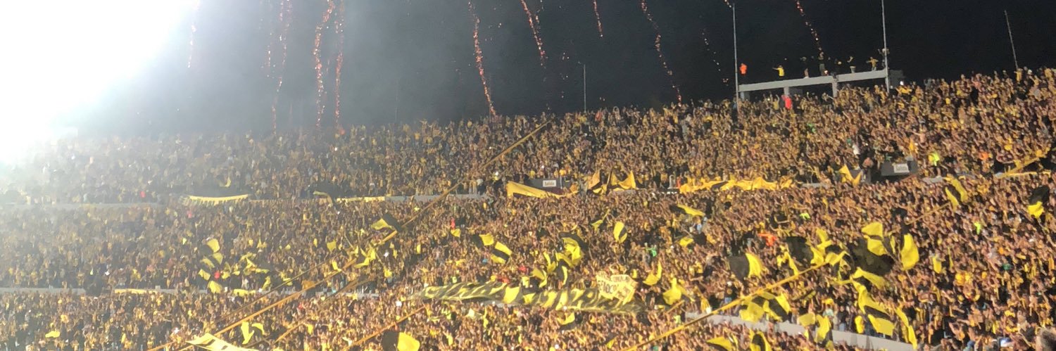 Rodrigo Galarraga banner