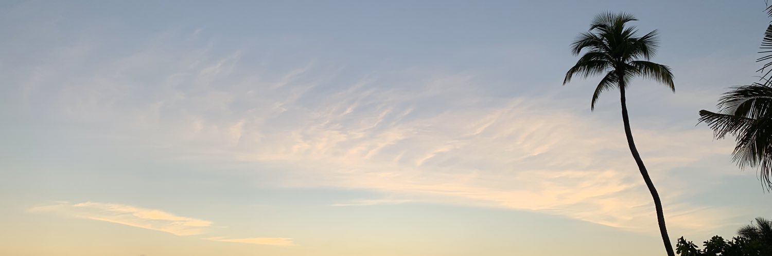 LaaMars's profile banner image
