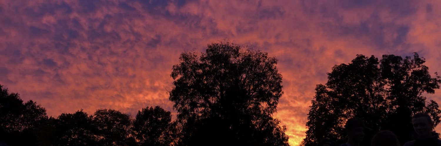 zoebricker's profile banner image
