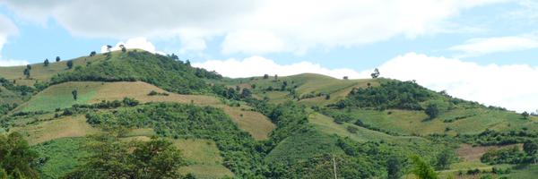 ZhanliSun Profile Banner