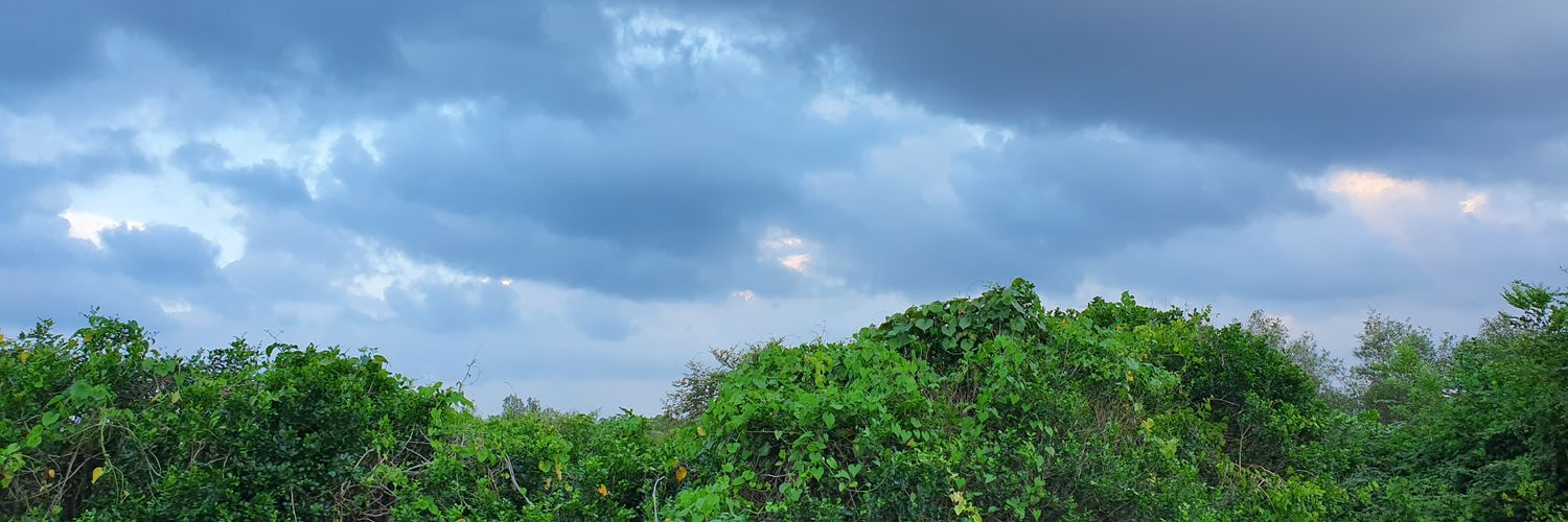 a_tall_boy's profile banner image