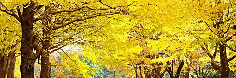 lisaxlive's profile banner image