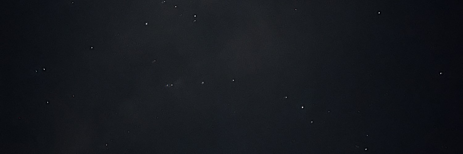 LeandraRoman_'s profile banner image