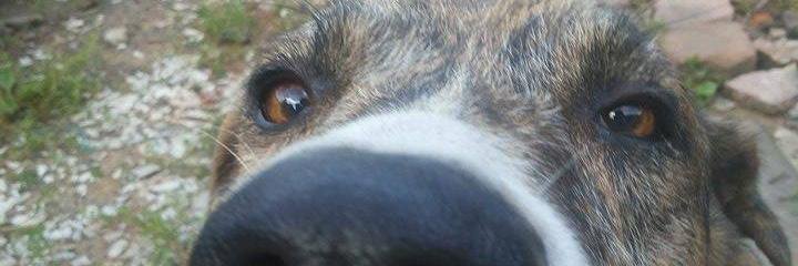 FuckedLife_'s profile banner image